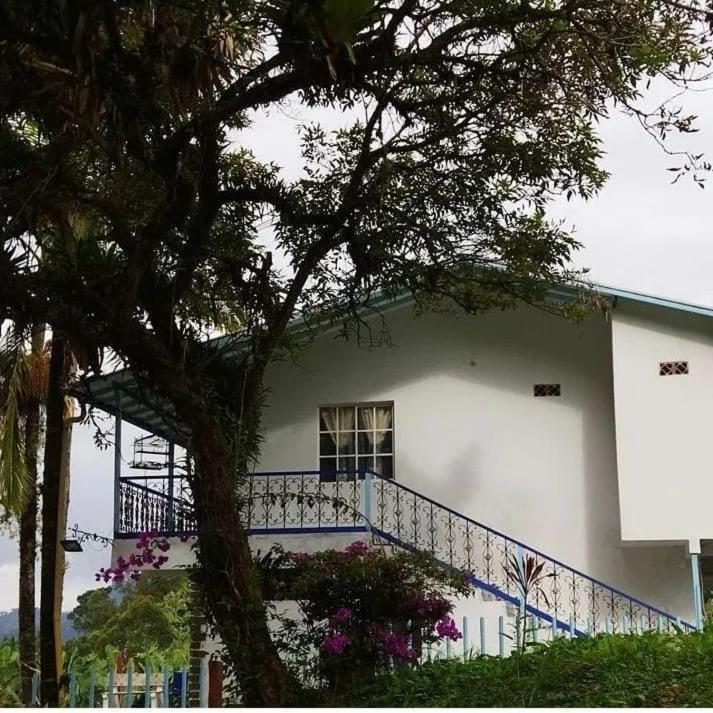 Travesía Original Vísta Farallónes Jardín Exterior foto